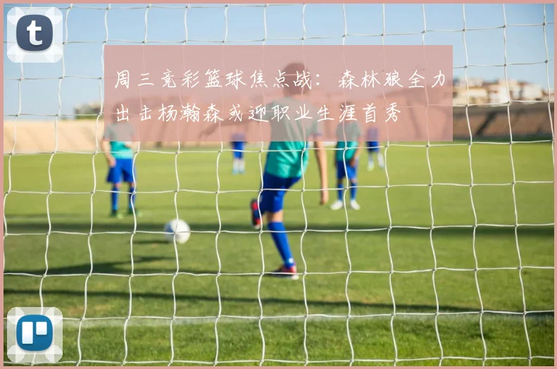 周三竞彩篮球焦点战：森林狼全力出击杨瀚森或迎职业生涯首秀