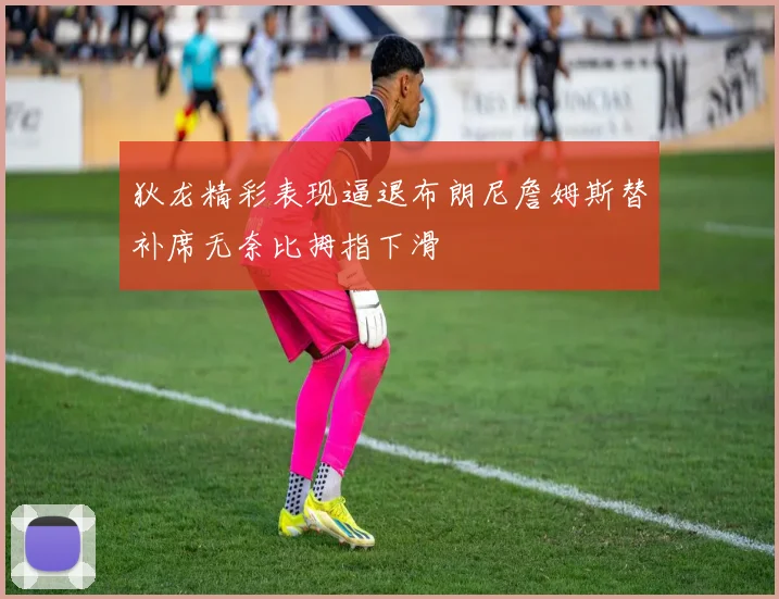 狄龙精彩表现逼退布朗尼詹姆斯替补席无奈比拇指下滑