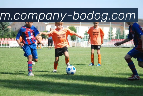 博狗娱乐品牌故事