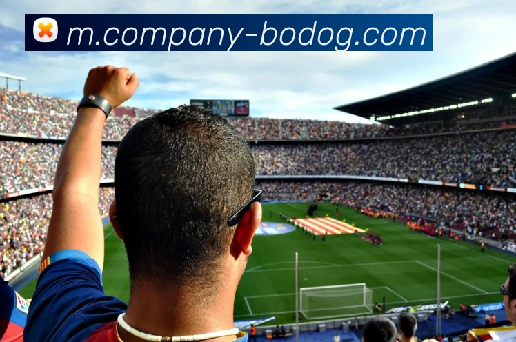 博狗娱乐服务体系